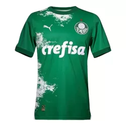 Maillot Palmeiras Homme 2024 Verte Maillot Palmeiras Homme 2024 Verte