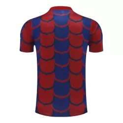 Maillot FC Barcelone Pre-Match Homme 2024-25