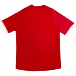 Maillot Angleterre 2010 Homme Extérieur Rétro