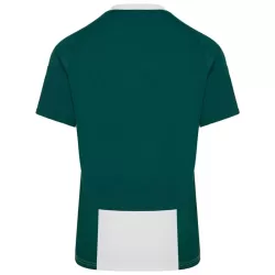 Maillot Panathinaikos FC Homme Domicile 2024-25