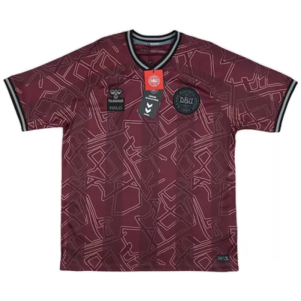 Maillot Danemark Homme 2024-25 Maillot Danemark Homme 2024-25