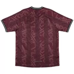 Maillot Danemark Homme 2024-25