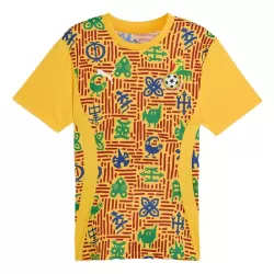 Maillot Ghana Pre-Match Homme 2024-25