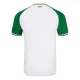 Maillot Irlande Homme Third 2024-25