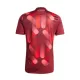 Maillot Allemagne Homme Extérieur 2025
