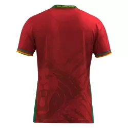 Maillot Cameroun Homme Extérieur 2025