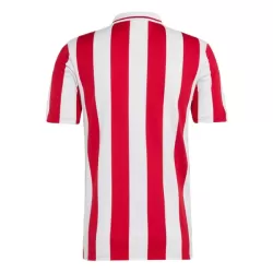 Maillot Olympiakos 100th Homme Anniversaire 2024-25
