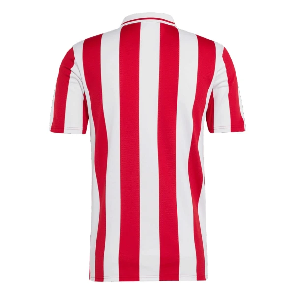 Maillot Olympiakos 100th Homme Anniversaire 2024-25