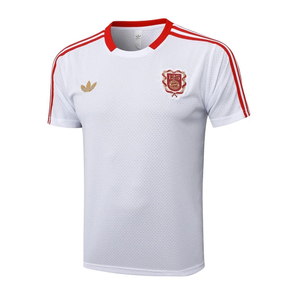 Maillot FC Bayern Munich Homme Anniversaire 2024-25 Maillot FC Bayern Munich Homme Anniversaire 2024-25