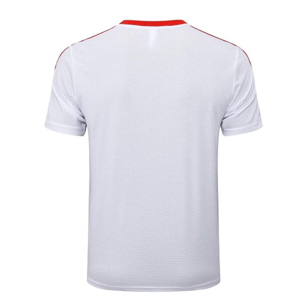 Maillot FC Bayern Munich Homme Anniversaire 2024-25