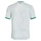 Maillot Irlande Homme Extérieur 2025-26