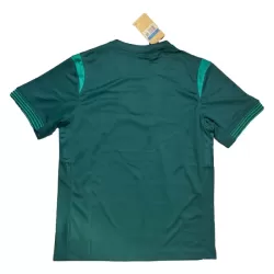 Maillot Nigéria Homme Domicile 2025-26