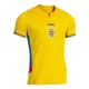 Maillot Roumanie Homme Domicile 2025 Maillot Roumanie Homme Domicile 2025