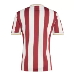 Maillot FC Nurnberg Homme Anniversaire 2024-25