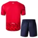 Maillot Lille OSC Enfant Domicile 2025-26