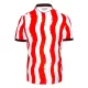 Maillot Stoke City Homme Domicile 2025-26