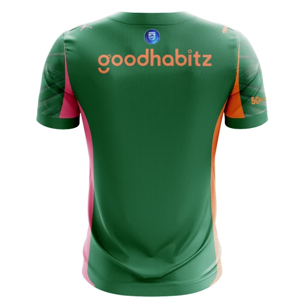 Maillot Gardien PSV Eindhoven Homme 2025-26 Verte