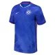 Maillot Chelsea Palmer 10 Homme Domicile 2025-26
