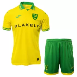 Maillot Norwich City Enfant Domicile 2025-26 Maillot Norwich City Enfant Domicile 2025-26