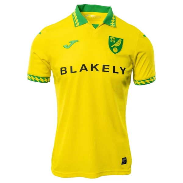 Maillot Norwich City Homme Domicile 2025-26 Maillot Norwich City Homme Domicile 2025-26