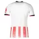Maillot SC Freiburg Homme Domicile 2025-26