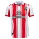 Maillot Southampton Homme Domicile 2025-26 Maillot Southampton Homme Domicile 2025-26