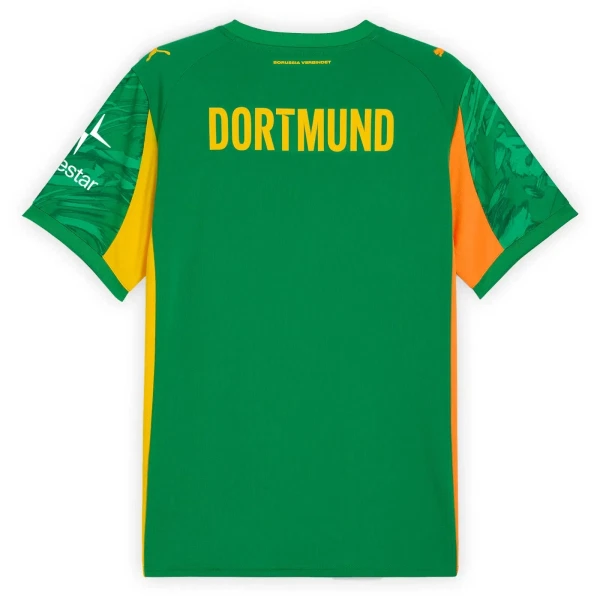 Maillot Gardien Borussia Dortmund Homme 2025-26 Verte