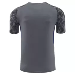 Feyenoord Maillot d'Entraînement Homme 2025-26 Gris