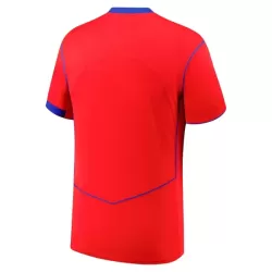 Maillot Paris Saint-Germain Homme Third 2025-26