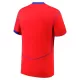 Maillot Paris Saint-Germain Homme Third 2025-26