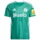 Maillot Newcastle United Homme Extérieur 2025-26 Maillot Newcastle United Homme Extérieur 2025-26
