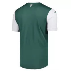 Maillot Hibernian Homme Domicile 2025-26