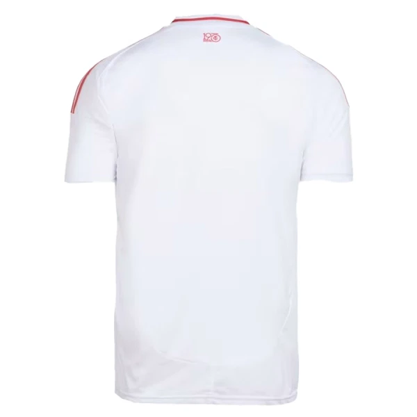 Maillot Internacional Homme Extérieur 2025-26
