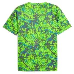 Maillot Manchester City Pre-Match Homme 2025-26 Verte