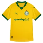 Maillot Palmeiras Homme Third 2025-26