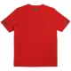 Maillot Portugal 2010 Homme Domicile Rétro