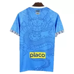 Maillot Santos FC Dragon Homme 2025-26 Bleue
