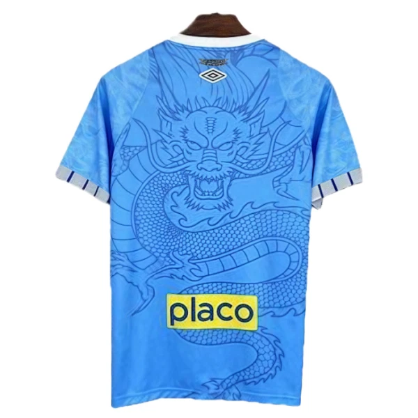 Maillot Santos FC Dragon Homme 2025-26 Bleue