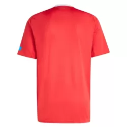 Maillot FC Nurnberg Homme Third 2025-26