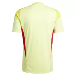Maillot Gardien Aston Villa Homme 2025-26 Jaune