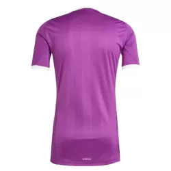 Maillot Gardien Aston Villa Homme 2025-26 Violet