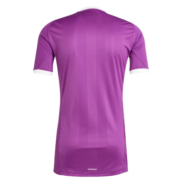 Maillot Gardien Aston Villa Homme 2025-26 Violet