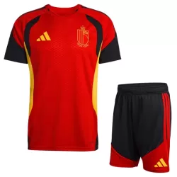 Belgique Maillot d'Entraînement Enfant Coupe du Monde 2026 Rouge Belgique Maillot d'Entraînement Enfant Coupe du Monde 2026 Rouge