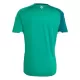 Maillot Irlande Du Nord Homme Domicile Coupe du Monde 2026