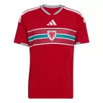 Maillot Pays de Galles Homme Domicile Coupe du Monde 2026