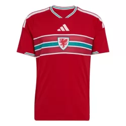 Maillot Pays de Galles Homme Domicile Coupe du Monde 2026