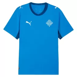 Maillot Islande Homme Domicile Coupe du Monde 2026