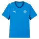 Maillot Islande Homme Domicile Coupe du Monde 2026
