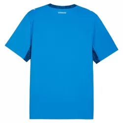 Maillot Islande Homme Domicile Coupe du Monde 2026