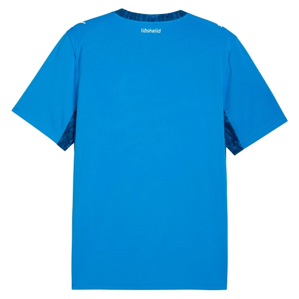 Maillot Islande Homme Domicile Coupe du Monde 2026